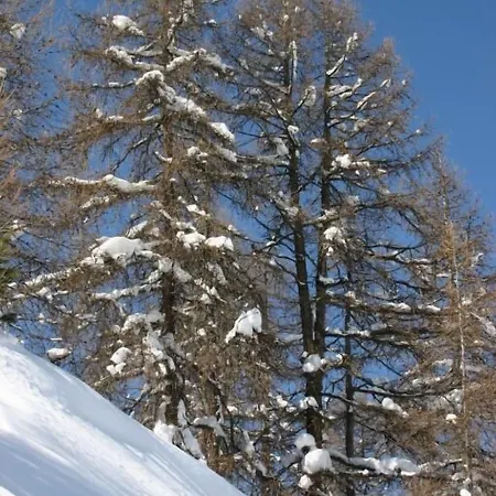 Dağ evi Madame Les Du Praz La Plagne
