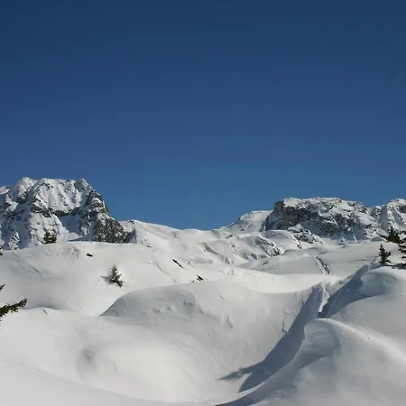Madame Les Du Praz Chalet *