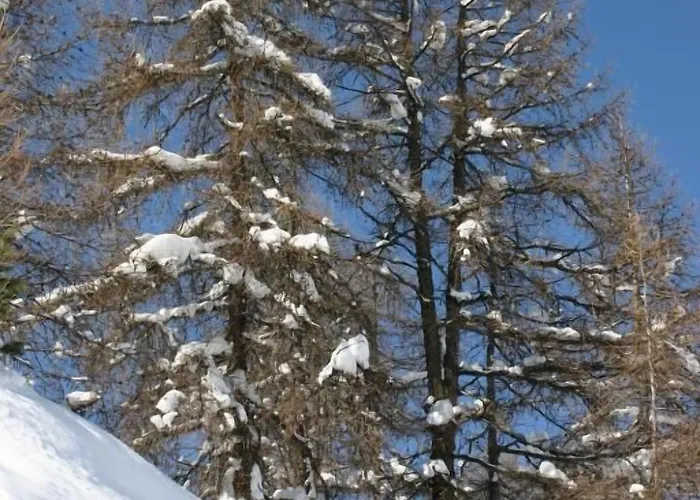 木屋 Madame Les Du Praz 拉普拉涅
