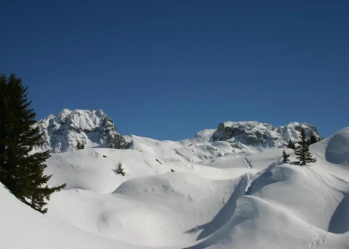 Madame Les Du Praz 木屋 *